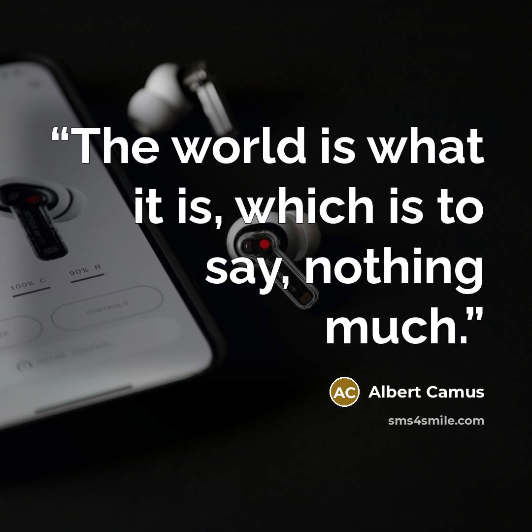 “The world is what it is, which is to say, nothing much.” quote by Albert Camus