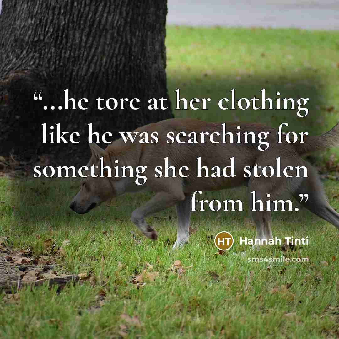“...he tore at her clothing like he was searching for something she had stolen from him.” quote by Hannah Tinti
