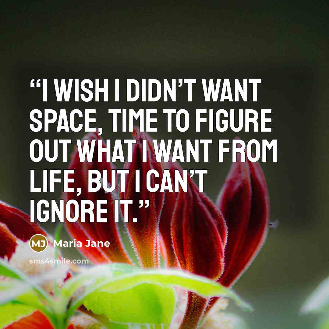 “I wish I didn’t want space, time to figure out what I want from life, but I can’t ignore it.” quote by Maria Jane