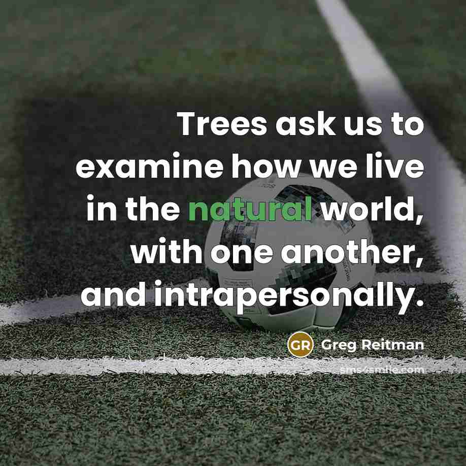 “Trees ask us to examine how we live in the natural world, with one another, and intrapersonally.” quote by Greg Reitman
