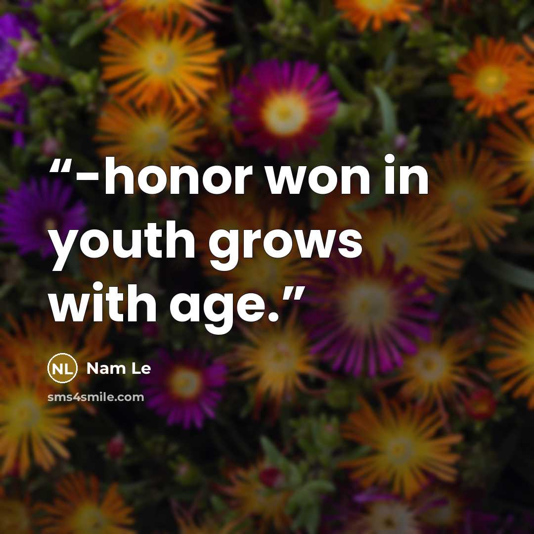 “-honor won in youth grows with age.” quote by Nam Le