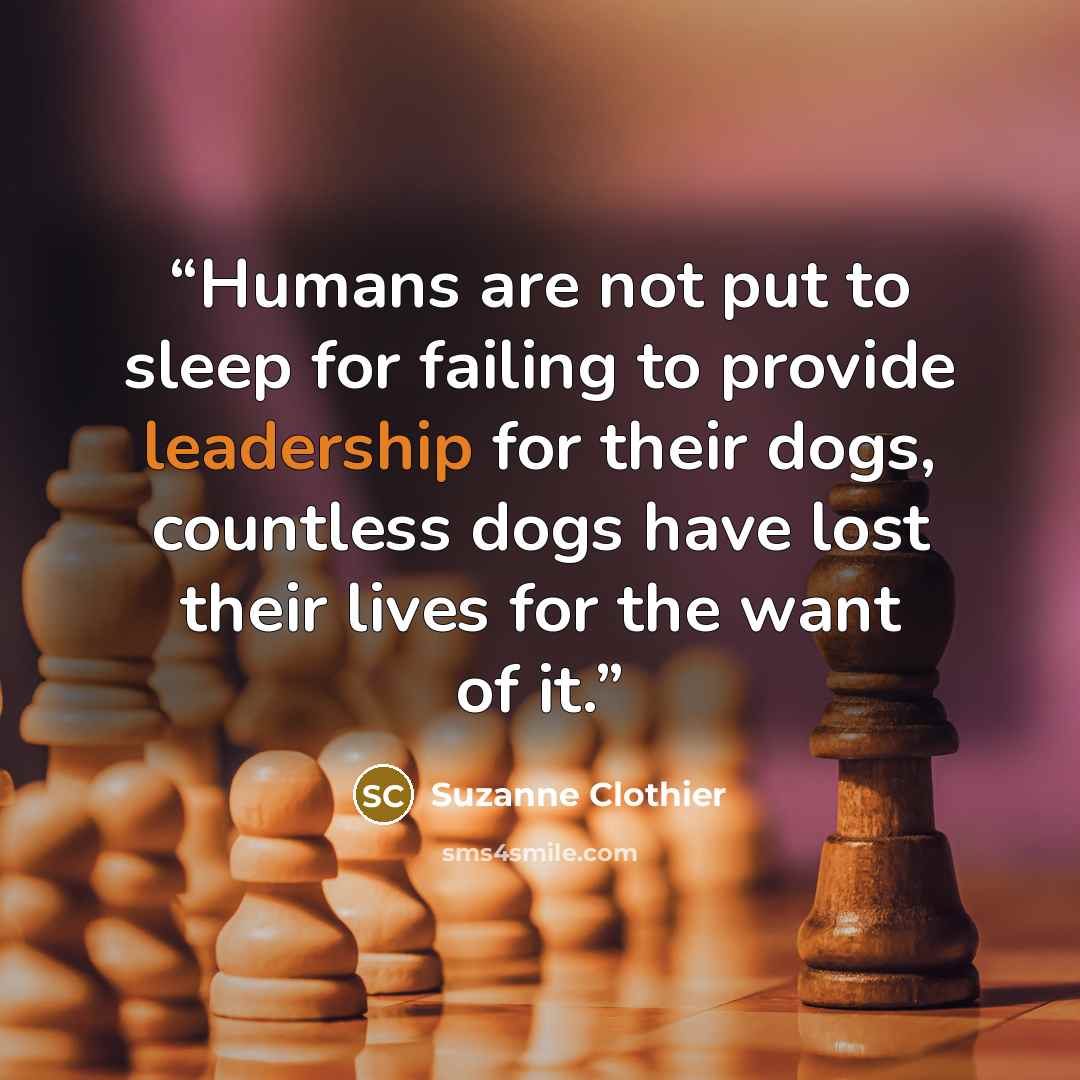 “Humans are not put to sleep for failing to provide leadership for their dogs, countless dogs have lost their lives for the want of it.” quote by Suzanne Clothier