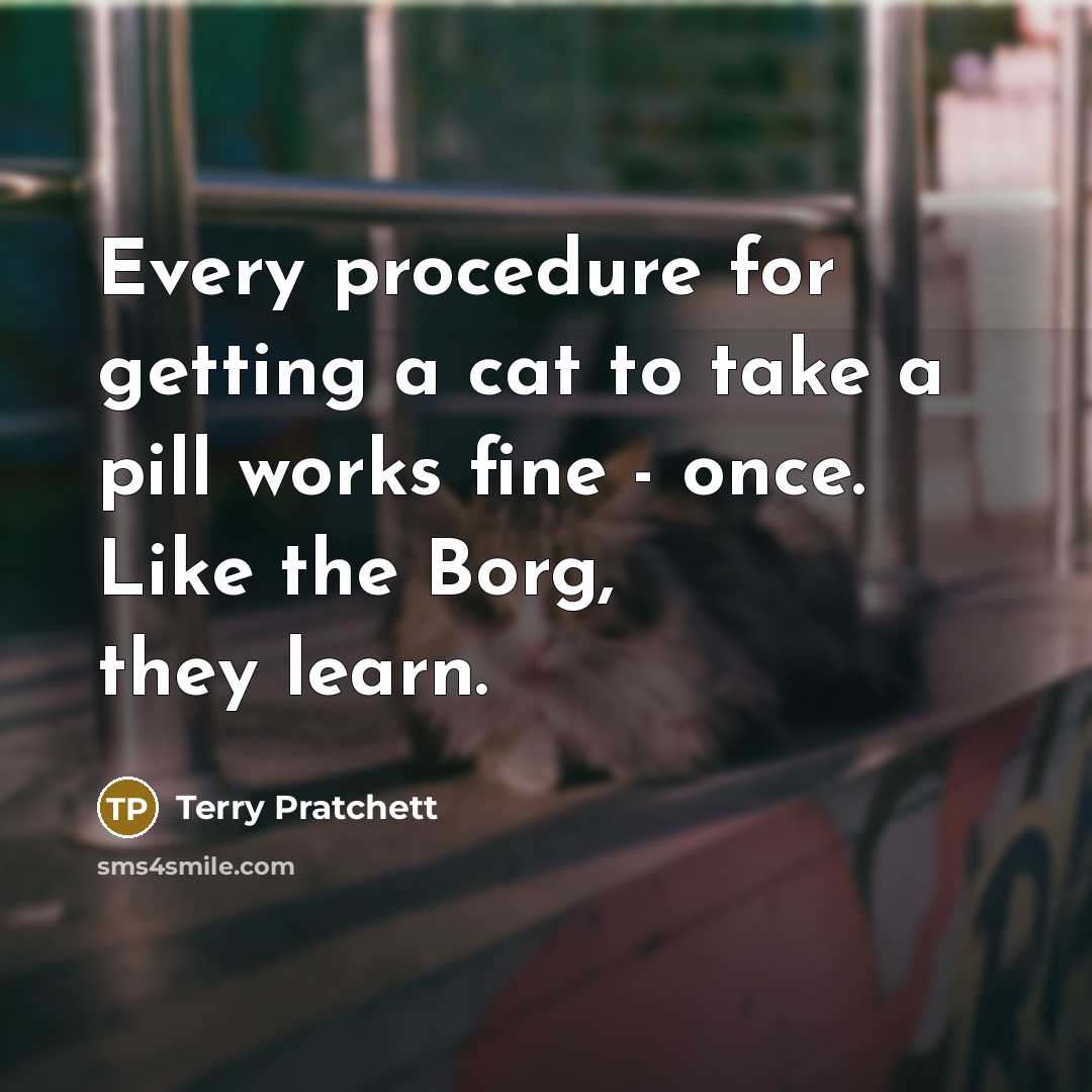 “Every procedure for getting a cat to take a pill works fine - once. Like the Borg, they learn.” quote by Terry Pratchett