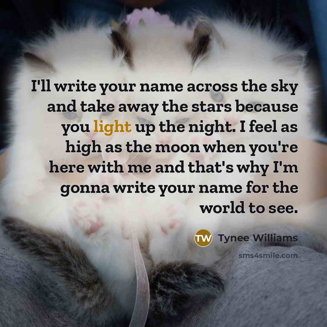 “I'll write your name across the sky and take away the stars because you light up the night. I feel as high as the moon when you're here with me and that's why I'm gonna write your name for the world to see.” quote by Tynee Williams