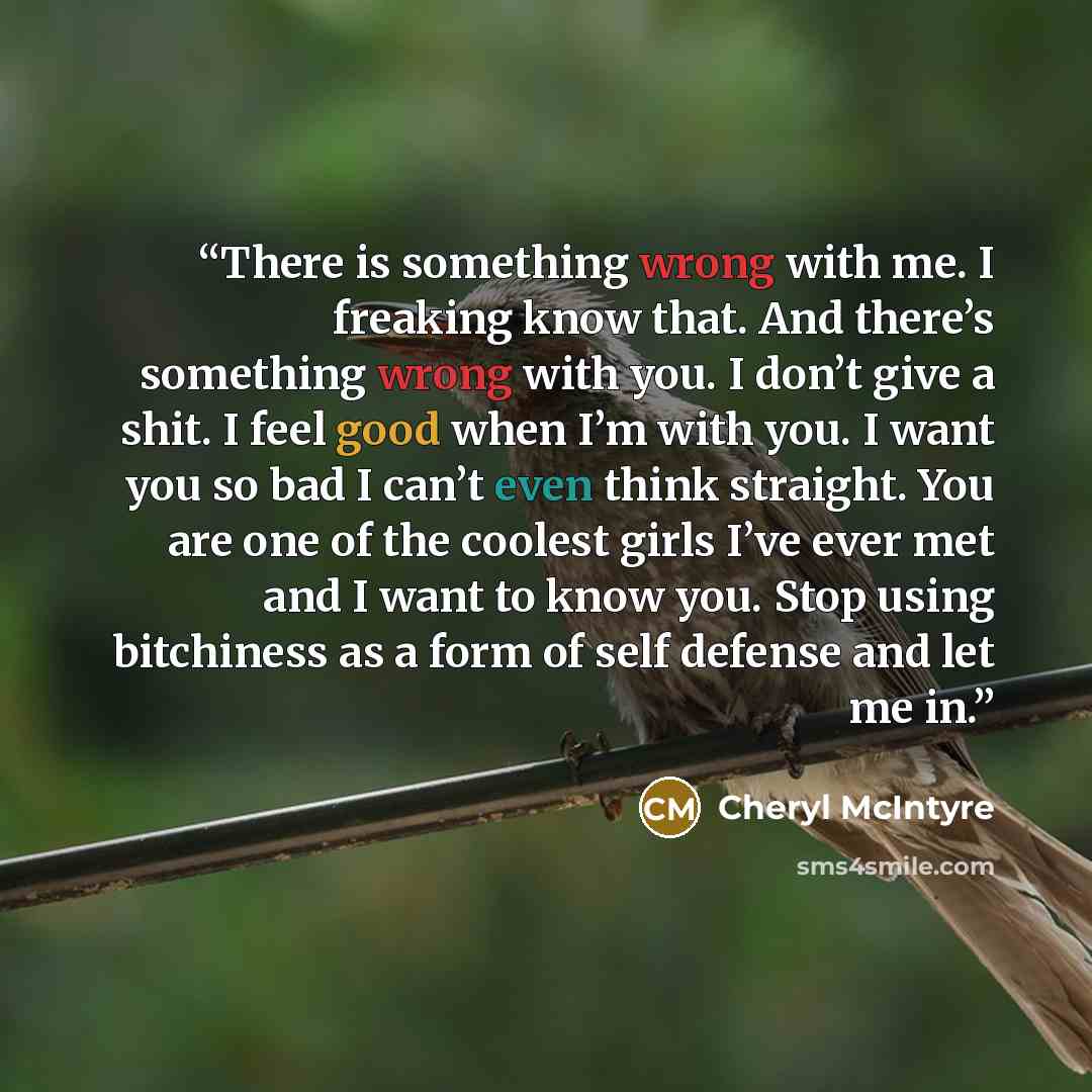“There is something wrong with me. I freaking know that. And there’s something wrong with you. I don’t give a shit. I feel good when I’m with you. I want you so bad I can’t even think straight. You are one of the coolest girls I’ve ever met and I want to know you. Stop using bitchiness as a form of…” quote by Cheryl McIntyre