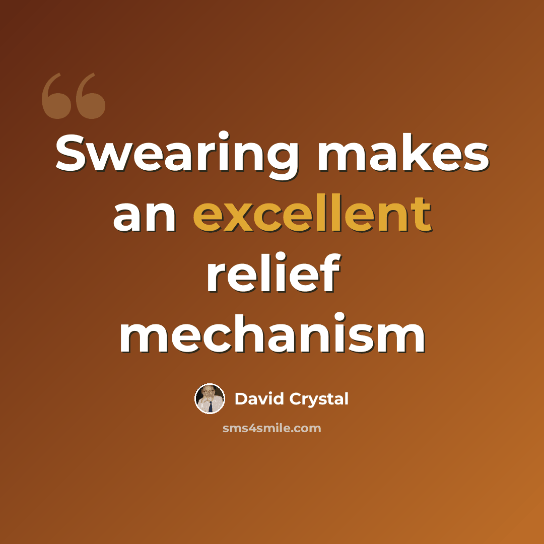 “Swearing makes an excellent relief mechanism” quote by David Crystal