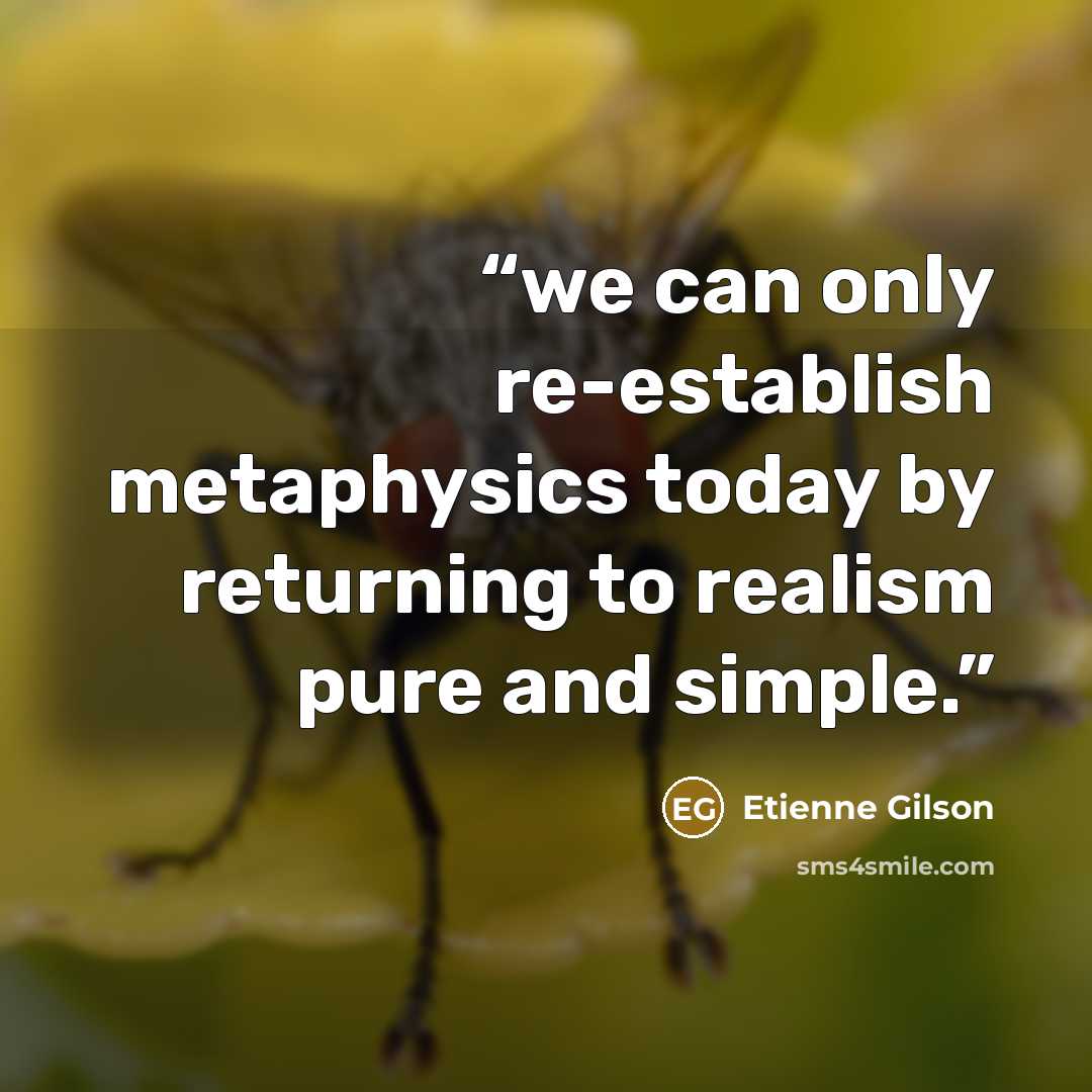 “we can only re-establish metaphysics today by returning to realism pure and simple.” quote by Étienne Gilson