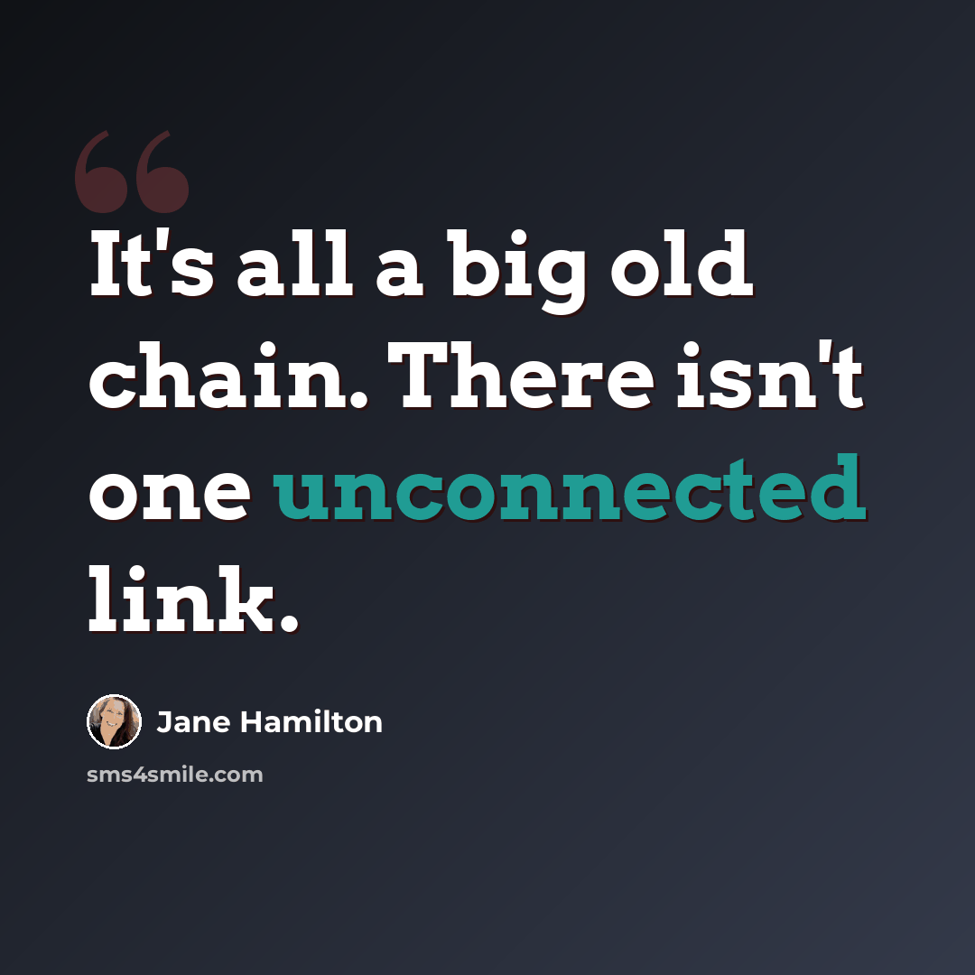 “It's all a big old chain. There isn't one unconnected link.” quote by Jane Hamilton