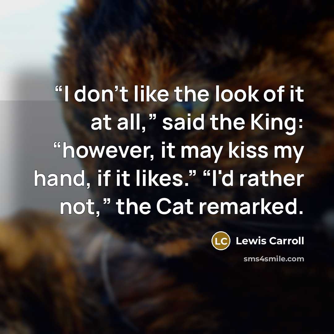 ““I don't like the look of it at all,” said the King: “however, it may kiss my hand, if it likes.” “I'd rather not,” the Cat remarked.” quote by Lewis Carroll