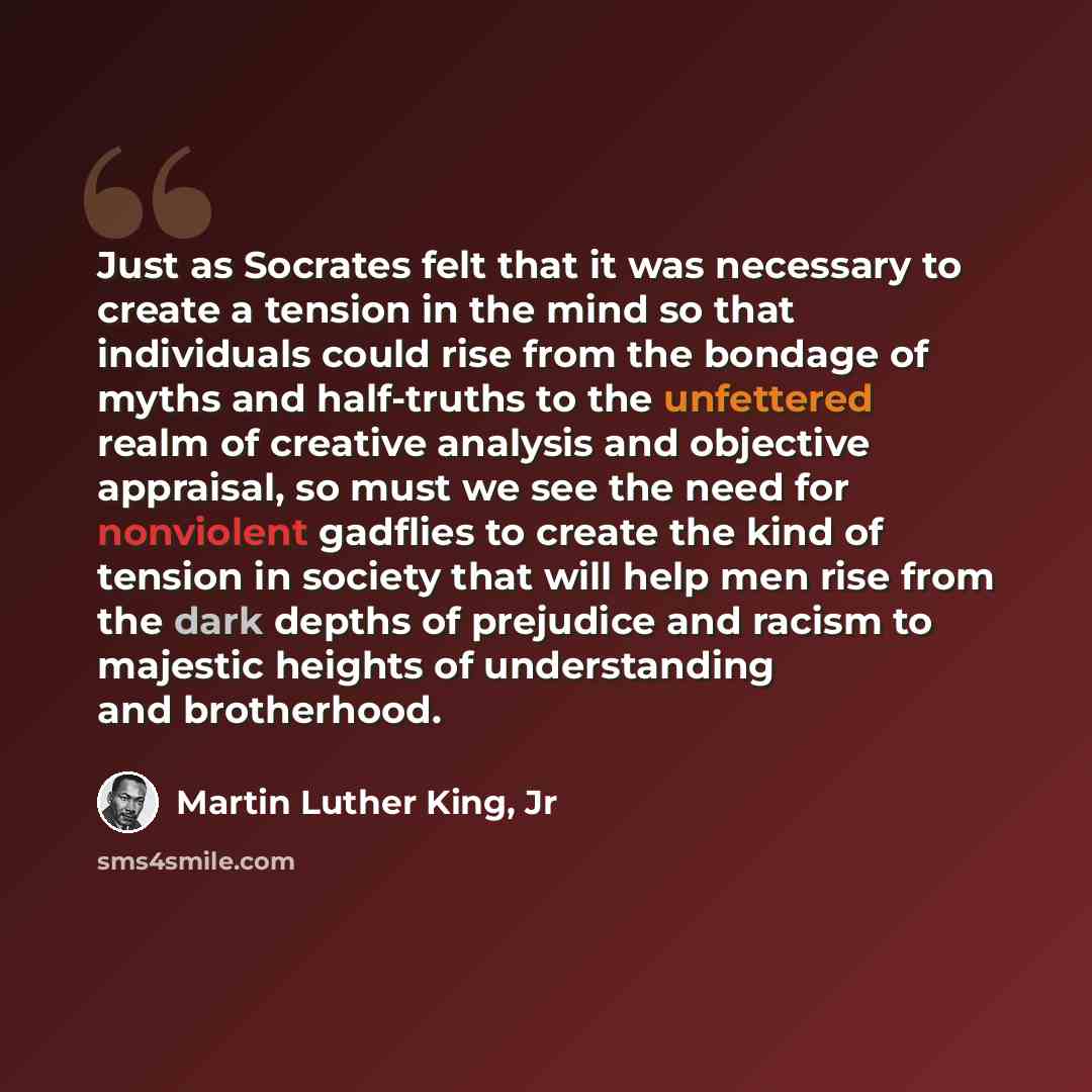 “Just as Socrates felt that it was necessary to create a tension in the mind so that individuals could rise from the bondage of myths and half-truths to the unfettered realm of creative analysis and objective appraisal, so must we see the need for nonviolent gadflies to create the kind of tension…” quote by Martin Luther King, Jr