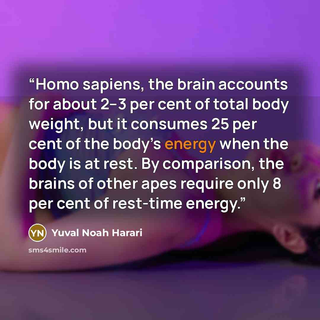“Homo sapiens, the brain accounts for about 2–3 per cent of total body weight, but it consumes 25 per cent of the body’s energy when the body is at rest. By comparison, the brains of other apes require only 8 per cent of rest-time energy.” quote by Yuval Noah Harari