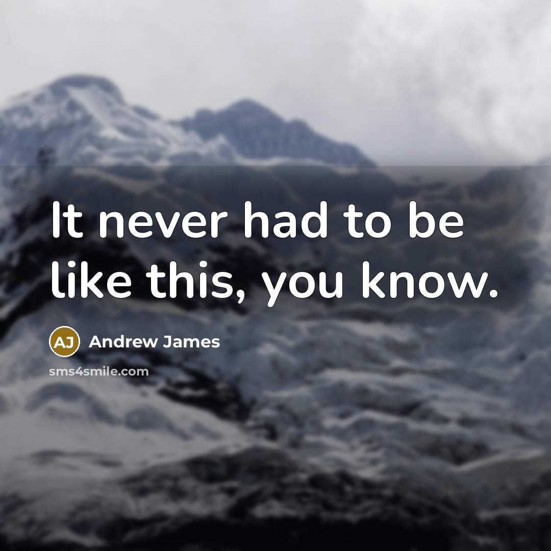 “It never had to be like this, you know.” quote by Andrew James