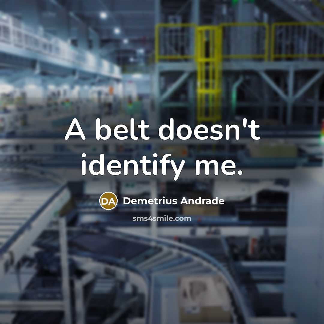 “A belt doesn't identify me.” quote by Demetrius Andrade