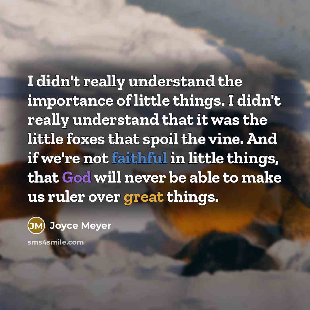 “I didn't really understand the importance of little things. I didn't really understand that it was the little foxes that spoil the vine. And if we're not faithful in little things, that God will never be able to make us ruler over great things.” quote by Joyce Meyer