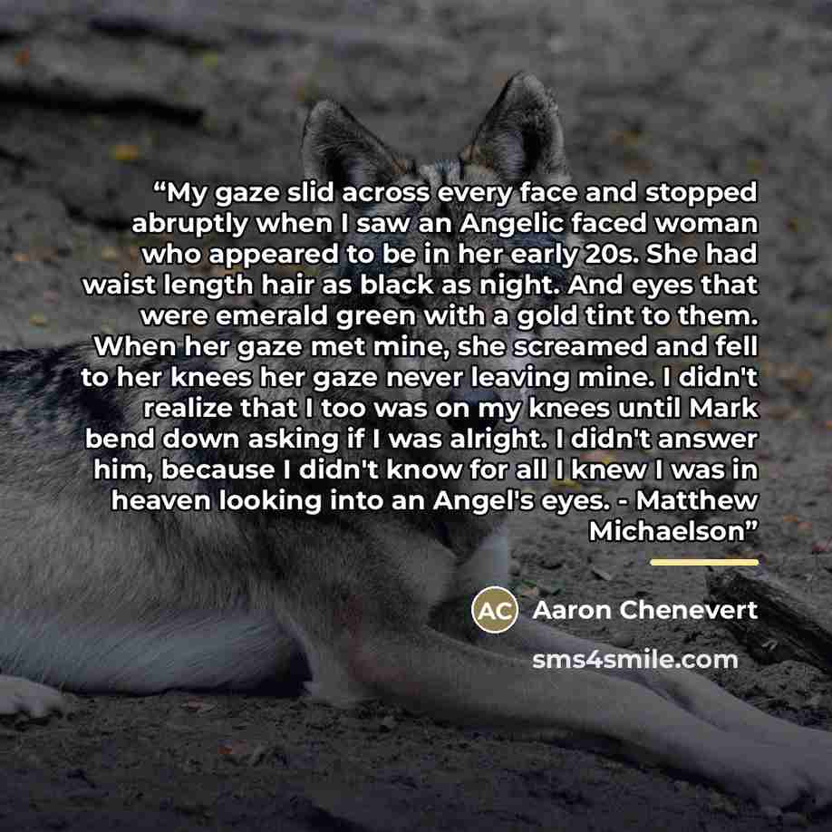 “My gaze slid across every face and stopped abruptly when I saw an Angelic faced woman who appeared to be in her early 20s. She had waist length hair as black as night. And eyes that were emerald green with a gold tint to them. When her gaze met mine, she screamed and fell to her knees her gaze…” quote by Aaron Chenevert