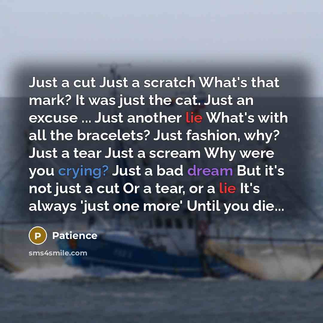 “Just a cut Just a scratch What's that mark? It was just the cat. Just an excuse ... Just another lie What's with all the bracelets? Just fashion, why? Just a tear Just a scream Why were you crying? Just a bad dream But it's not just a cut Or a tear, or a lie It's always 'just one more' Until you…” quote by Patience