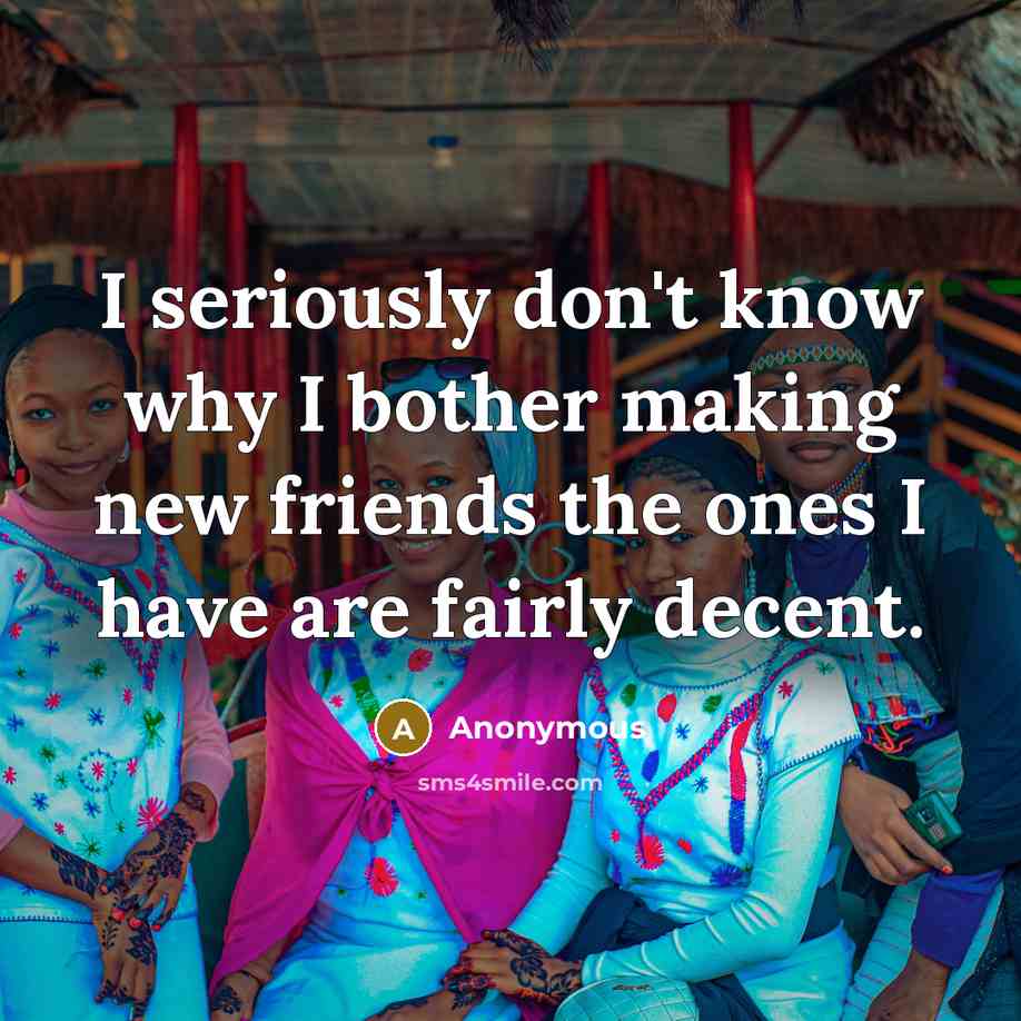 “I seriously don't know why I bother making new friends the ones I have are fairly decent.” quote by Anonymous