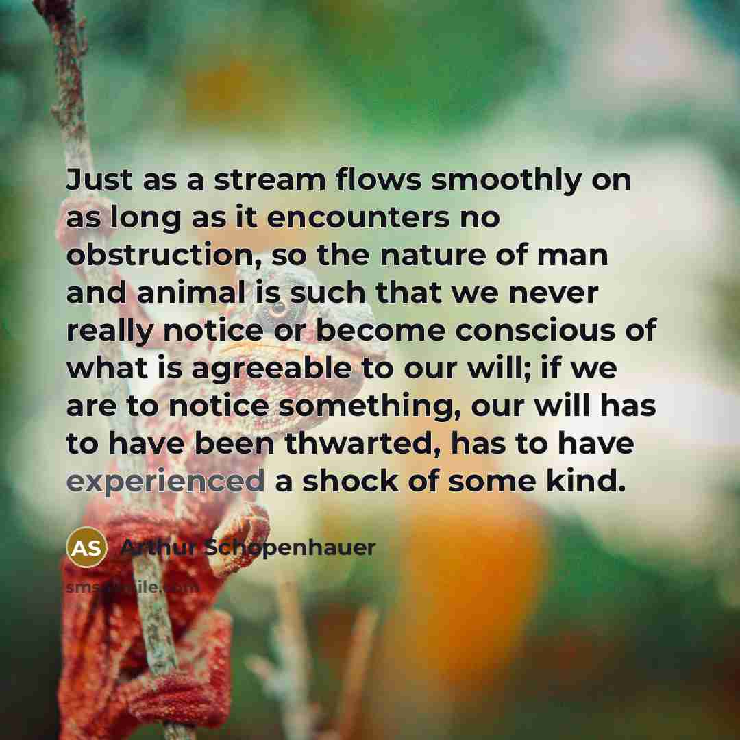 “Just as a stream flows smoothly on as long as it encounters no obstruction, so the nature of man and animal is such that we never really notice or become conscious of what is agreeable to our will; if we are to notice something, our will has to have been thwarted, has to have experienced a shock…” quote by Arthur Schopenhauer