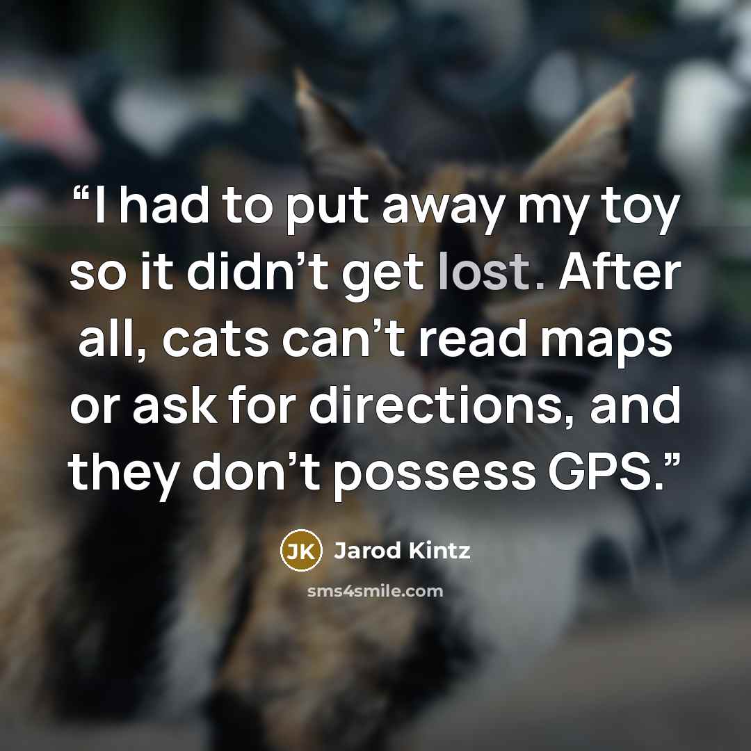 “I had to put away my toy so it didn’t get lost. After all, cats can’t read maps or ask for directions, and they don’t possess GPS.” quote by Jarod Kintz