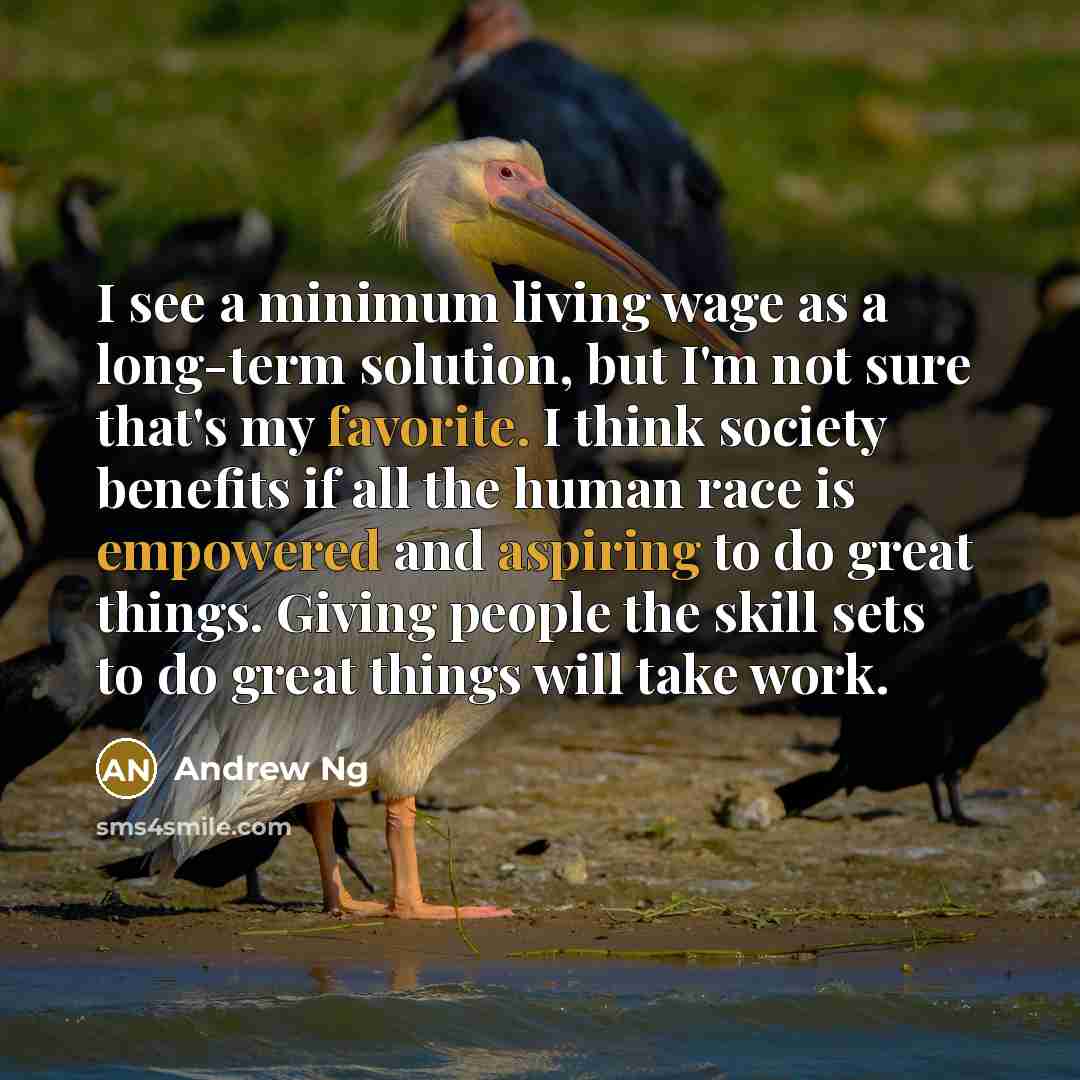 “I see a minimum living wage as a long-term solution, but I'm not sure that's my favorite. I think society benefits if all the human race is empowered and aspiring to do great things. Giving people the skill sets to do great things will take work.” quote by Andrew Ng