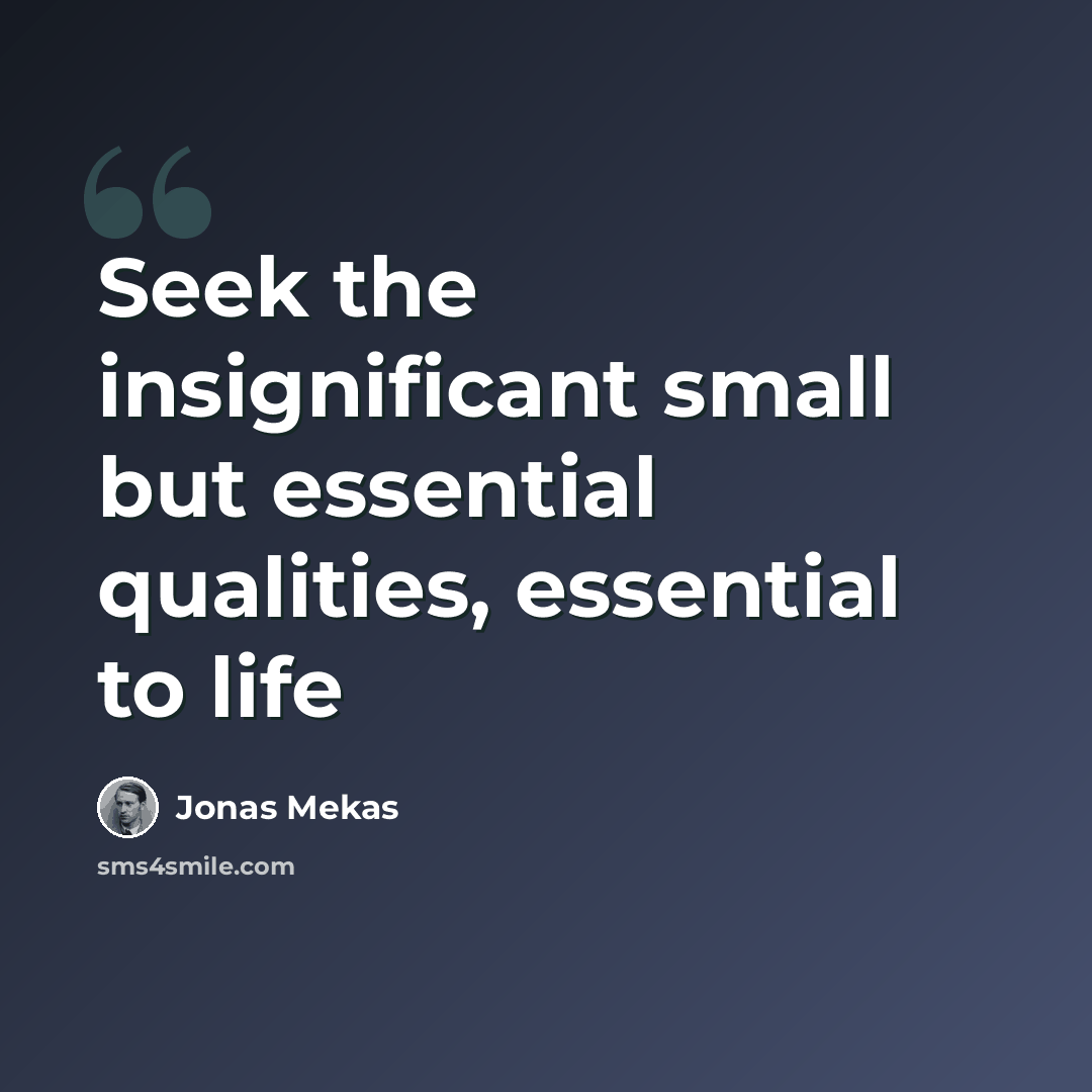 “Seek the insignificant small but essential qualities, essential to life” quote by Jonas Mekas