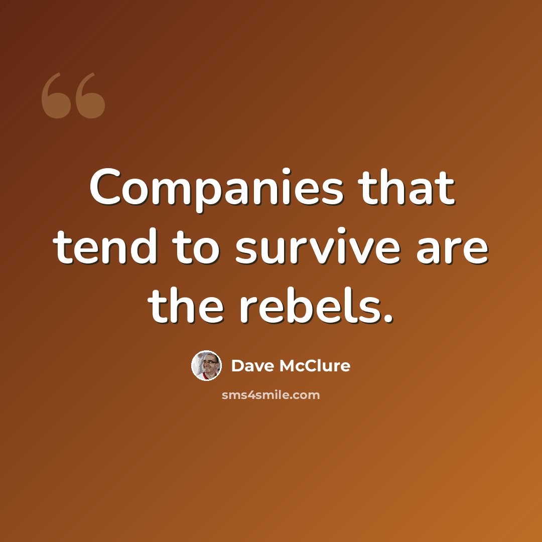 “Companies that tend to survive are the rebels.” quote by Dave McClure