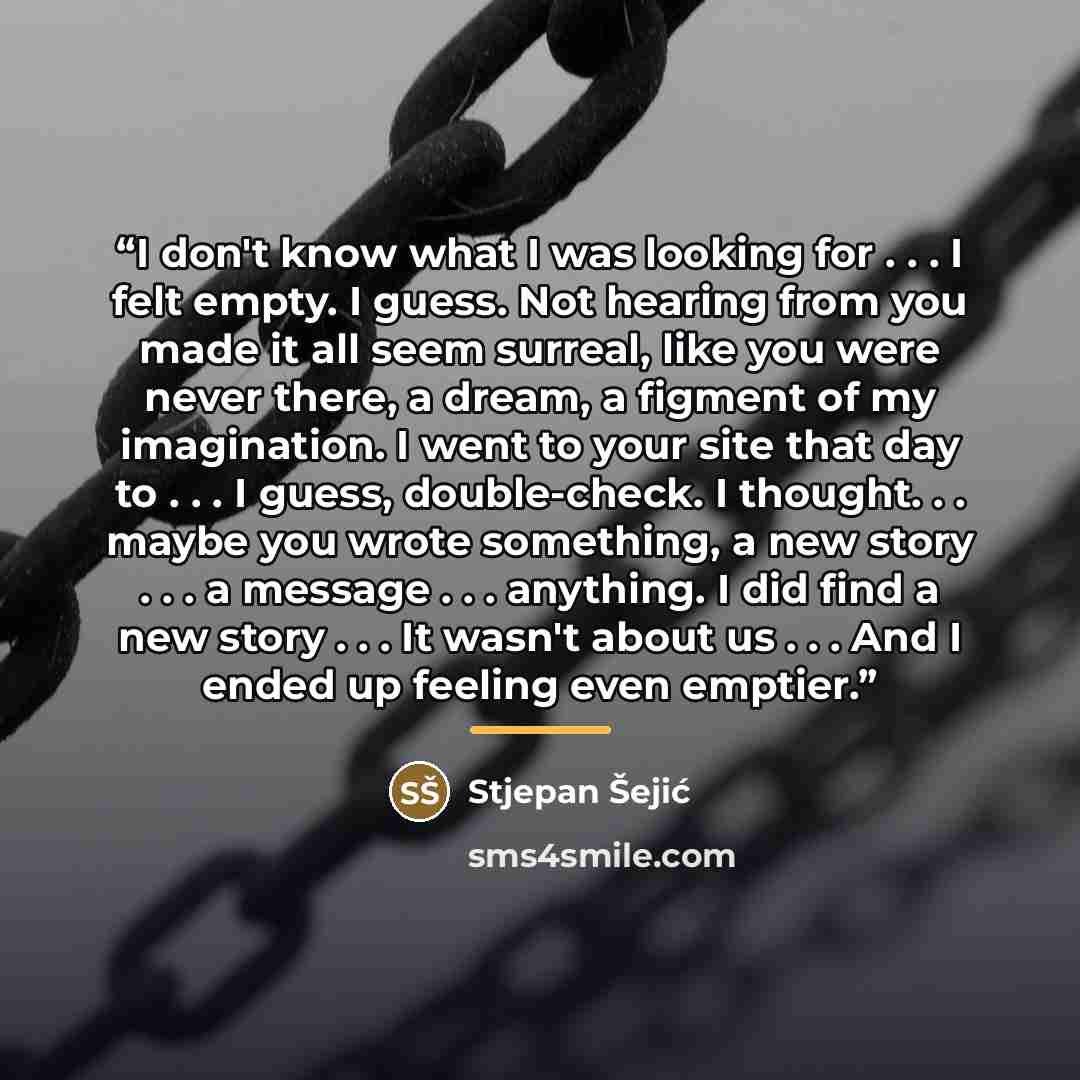 “I don't know what I was looking for . . . I felt empty. I guess. Not hearing from you made it all seem surreal, like you were never there, a dream, a figment of my imagination. I went to your site that day to . . . I guess, double-check. I thought. . . maybe you wrote something, a new story…” quote by Stjepan Šejić