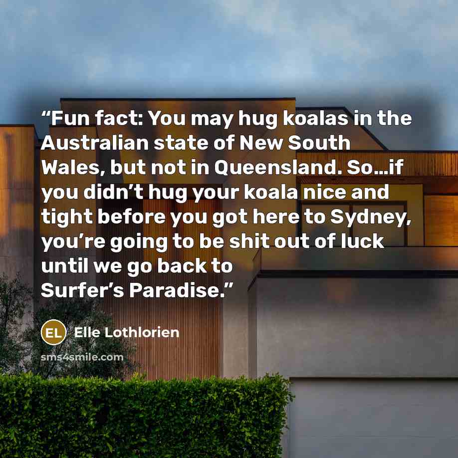 “Fun fact: You may hug koalas in the Australian state of New South Wales, but not in Queensland. So…if you didn’t hug your koala nice and tight before you got here to Sydney, you’re going to be shit out of luck until we go back to Surfer’s Paradise.” quote by Elle Lothlorien