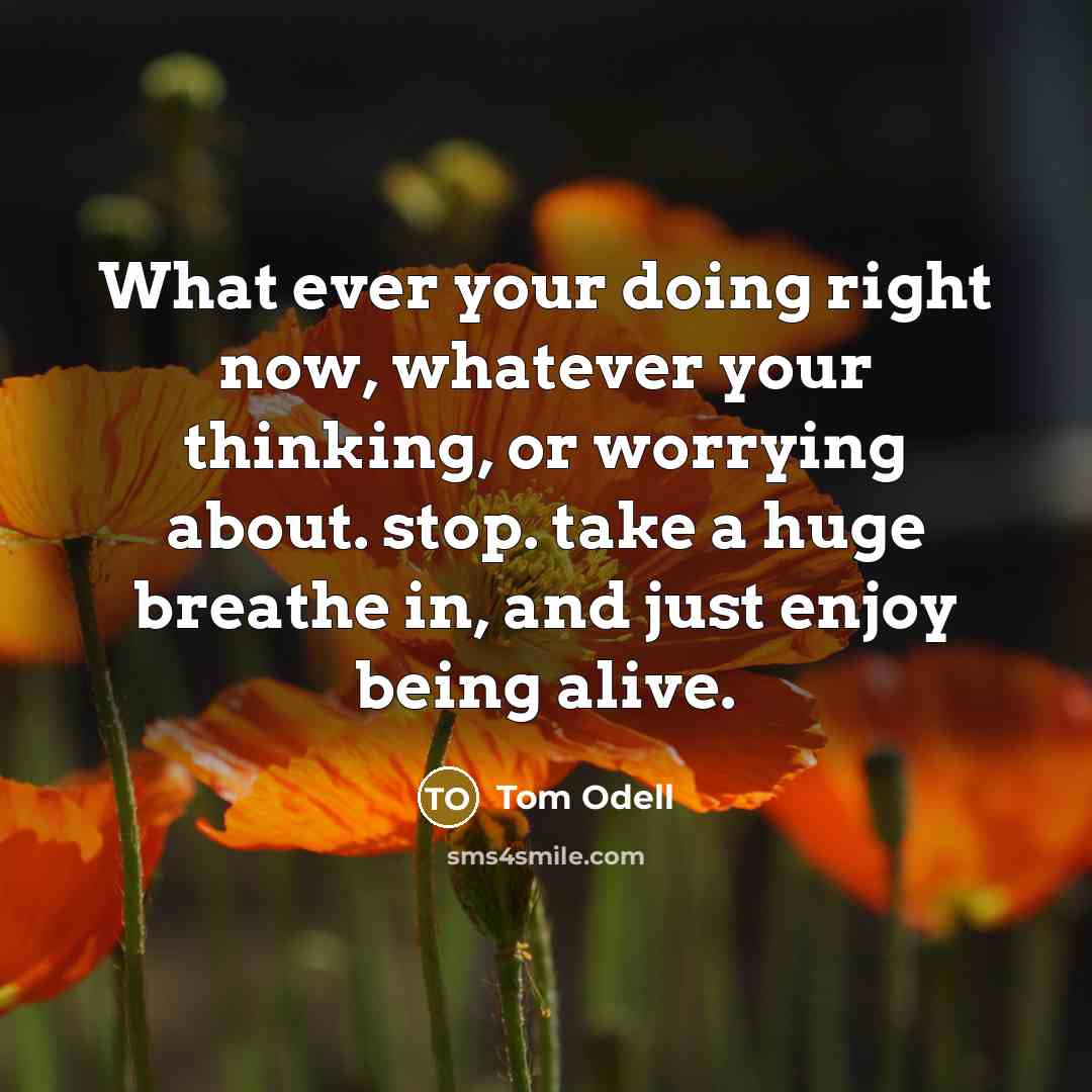 “What ever your doing right now, whatever your thinking, or worrying about. stop. take a huge breathe in, and just enjoy being alive.” quote by Tom Odell