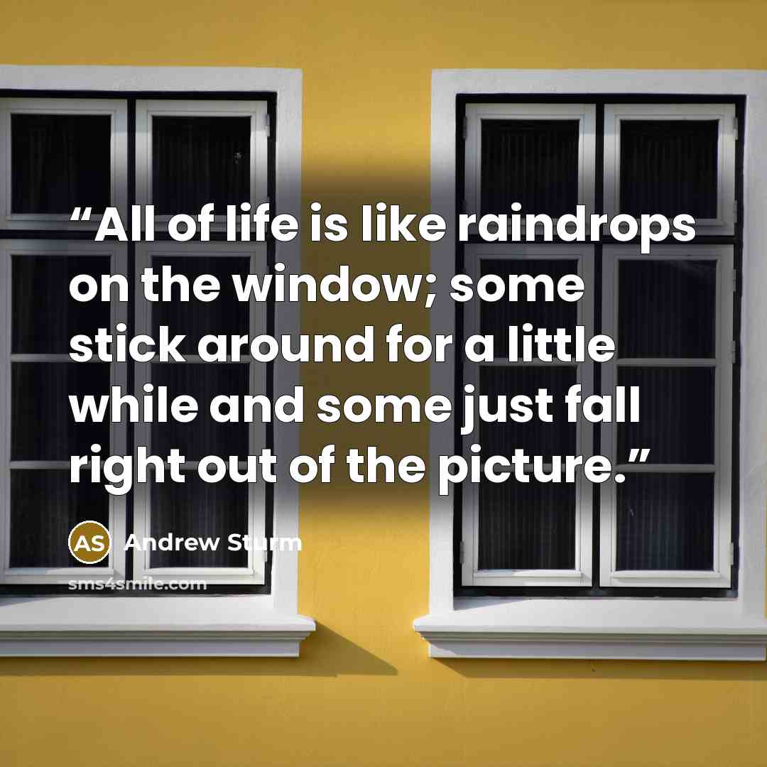 “All of life is like raindrops on the window; some stick around for a little while and some just fall right out of the picture.” quote by Andrew Sturm