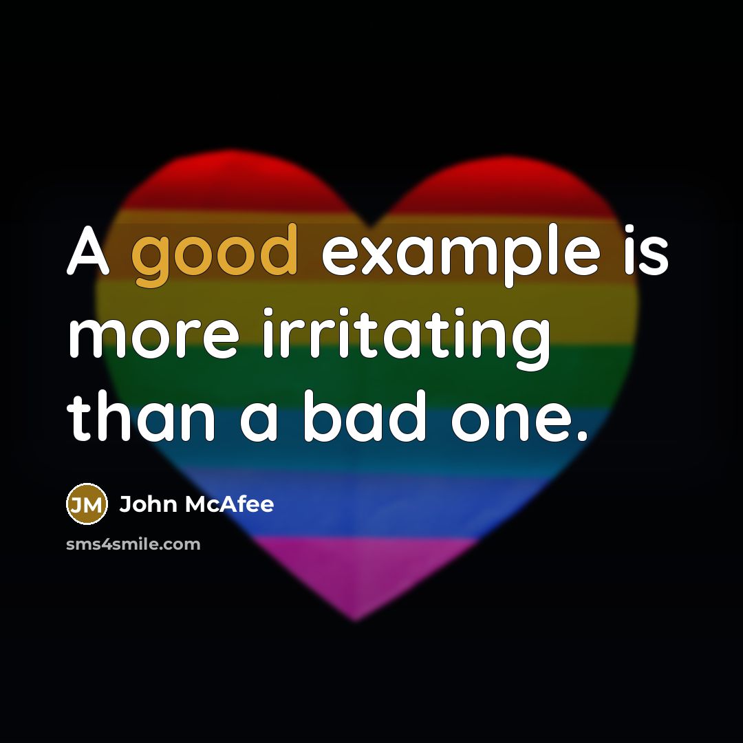“A good example is more irritating than a bad one.” quote by John McAfee