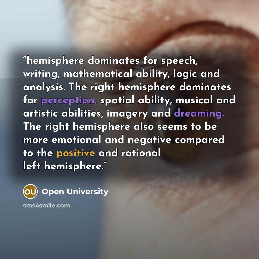 “hemisphere dominates for speech, writing, mathematical ability, logic and analysis. The right hemisphere dominates for perception, spatial ability, musical and artistic abilities, imagery and dreaming. The right hemisphere also seems to be more emotional and negative compared to the positive and…” quote by Open University