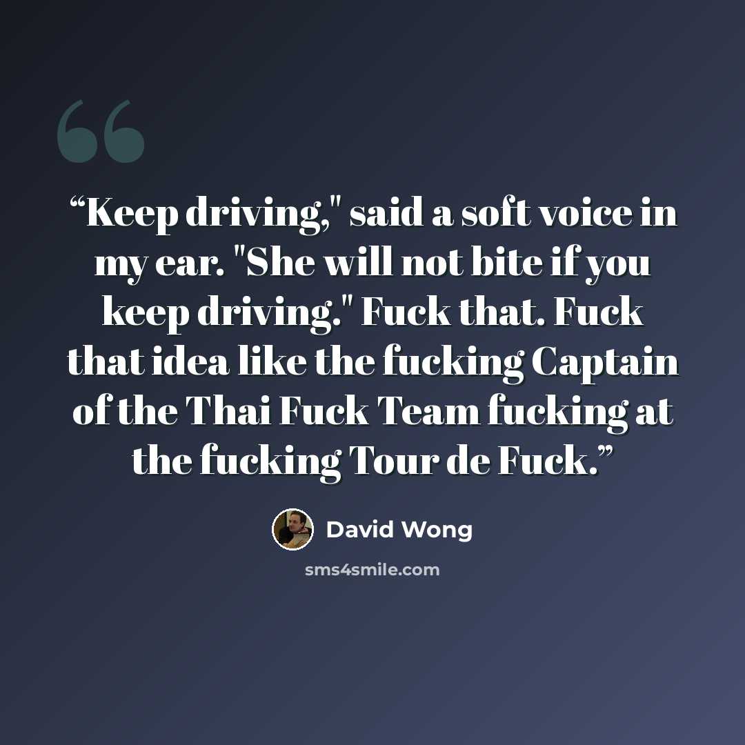 “Keep driving," said a soft voice in my ear. "She will not bite if you keep driving." Fuck that. Fuck that idea like the fucking Captain of the Thai Fuck Team fucking at the fucking Tour de Fuck.” quote by David Wong