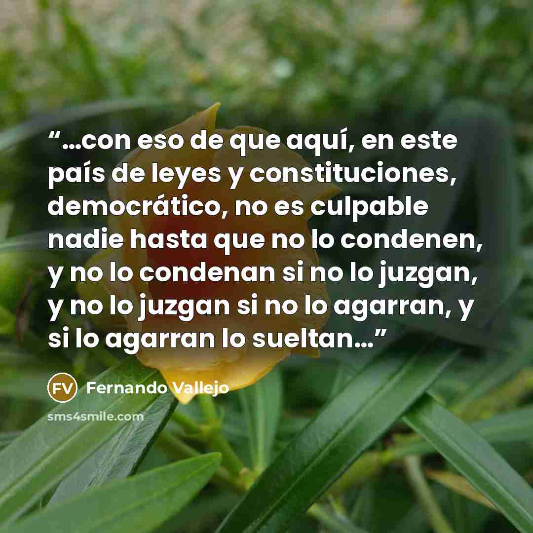 “…con eso de que aquí, en este país de leyes y constituciones, democrático, no es culpable nadie hasta que no lo condenen, y no lo condenan si no lo juzgan, y no lo juzgan si no lo agarran, y si lo agarran lo sueltan…” quote by Fernando Vallejo