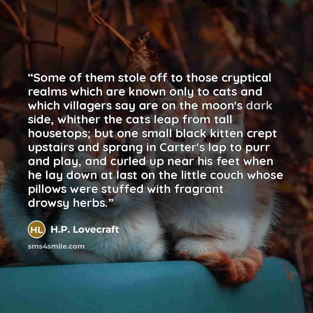“Some of them stole off to those cryptical realms which are known only to cats and which villagers say are on the moon's dark side, whither the cats leap from tall housetops; but one small black kitten crept upstairs and sprang in Carter's lap to purr and play, and curled up near his feet when he…” quote by H.P. Lovecraft