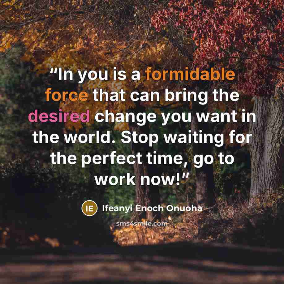 “In you is a formidable force that can bring the desired change you want in the world. Stop waiting for the perfect time, go to work now!” quote by Ifeanyi Enoch Onuoha