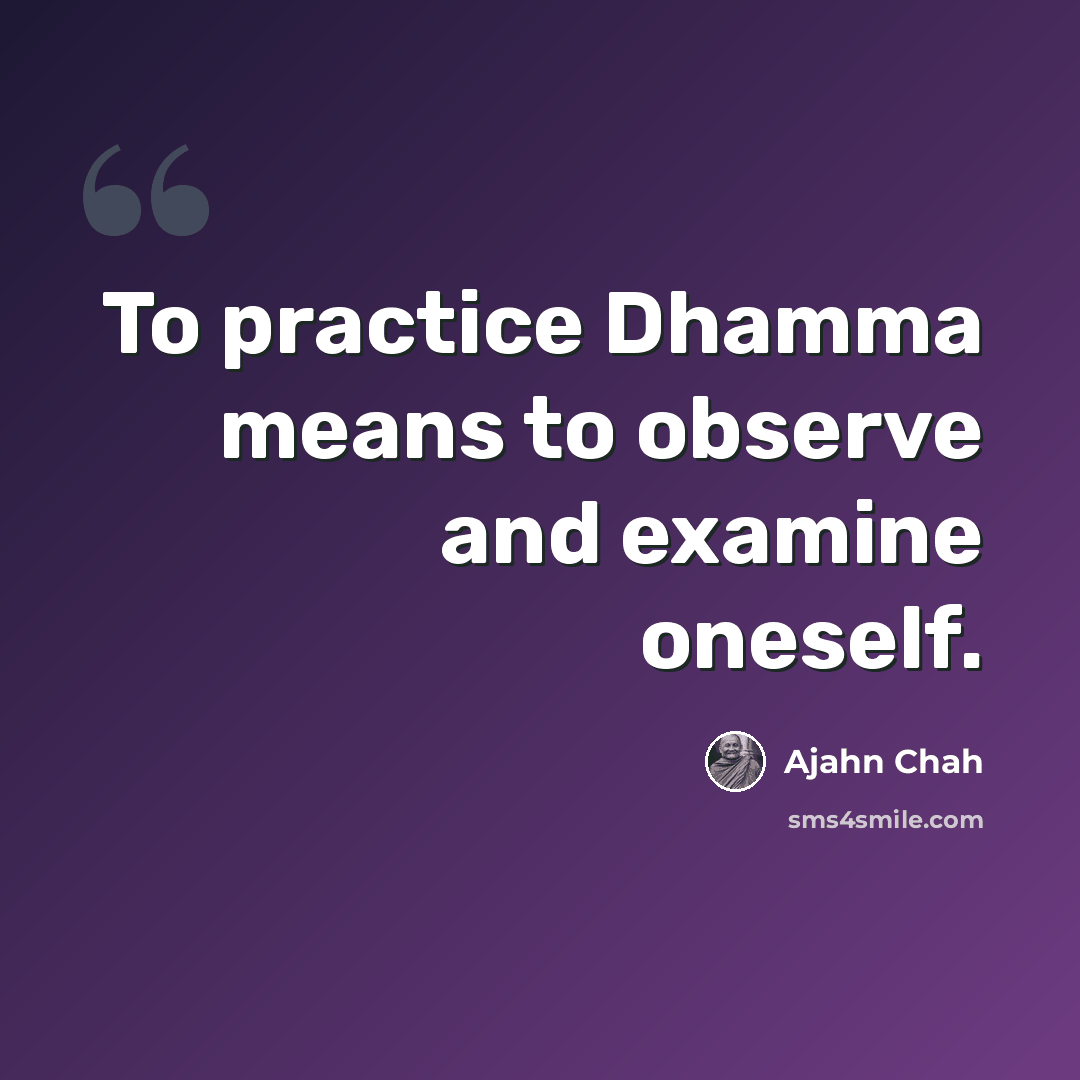 “To practice Dhamma means to observe and examine oneself.” quote by Ajahn Chah