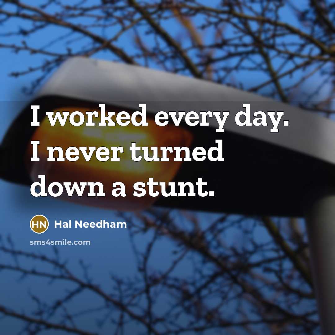 “I worked every day. I never turned down a stunt.” quote by Hal Needham
