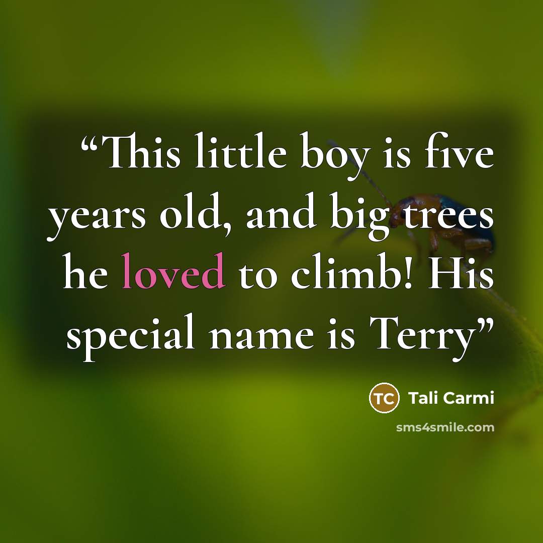 “This little boy is five years old, and big trees he loved to climb! His special name is Terry” quote by Tali Carmi