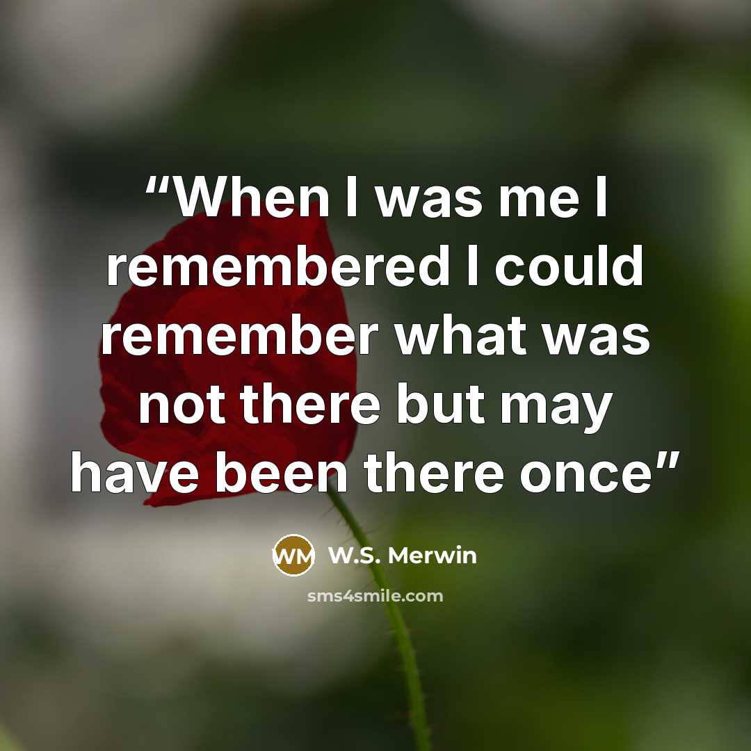 “When I was me I remembered I could remember what was not there but may have been there once” quote by W.S. Merwin