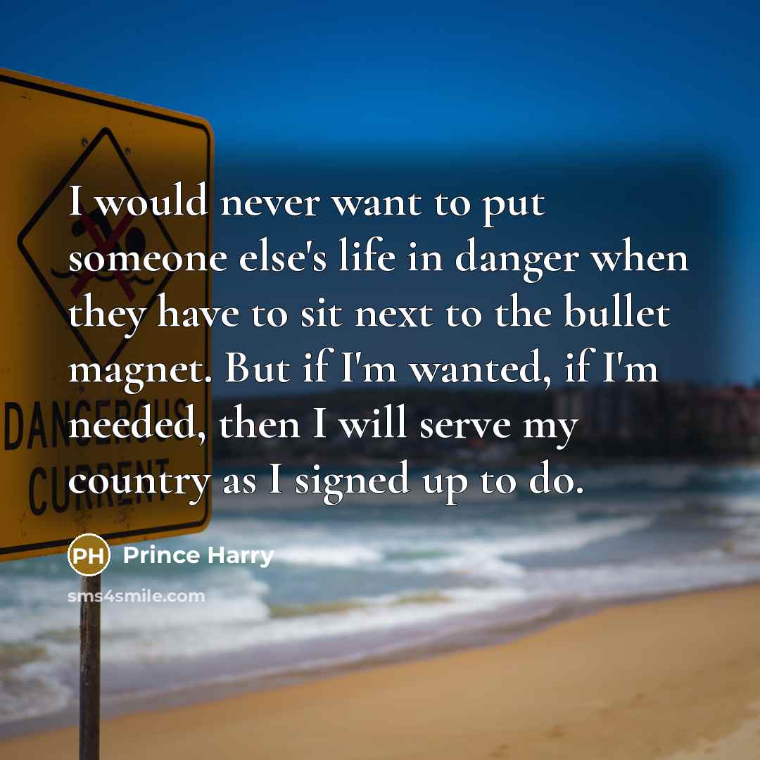 “I would never want to put someone else's life in danger when they have to sit next to the bullet magnet. But if I'm wanted, if I'm needed, then I will serve my country as I signed up to do.” quote by Prince Harry