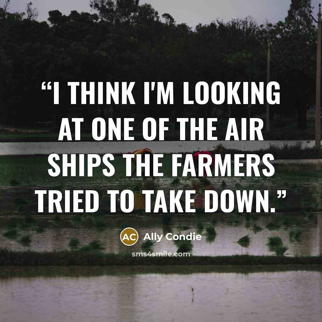 “I think I'm looking at one of the air ships the farmers tried to take down.” quote by Ally Condie