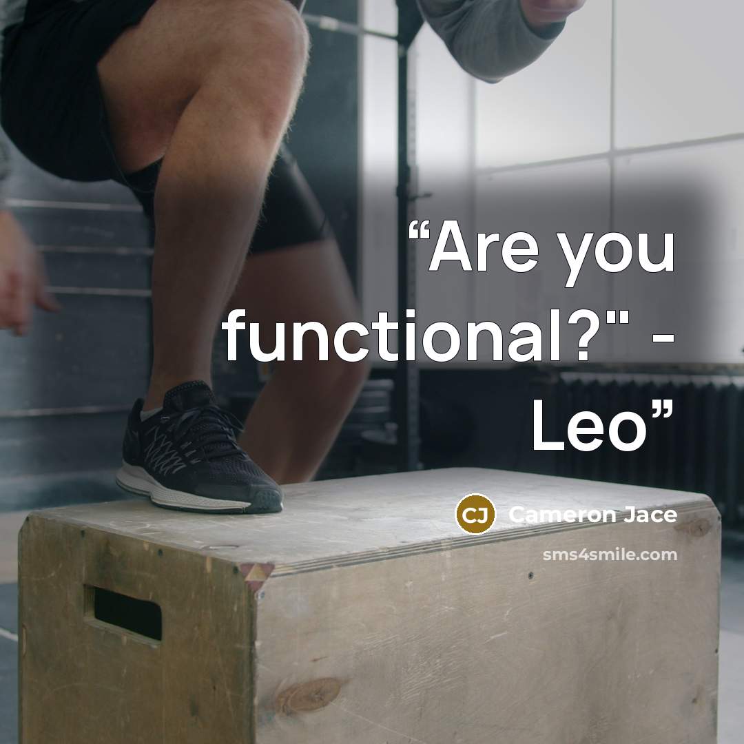 “Are you functional?" - Leo” quote by Cameron Jace