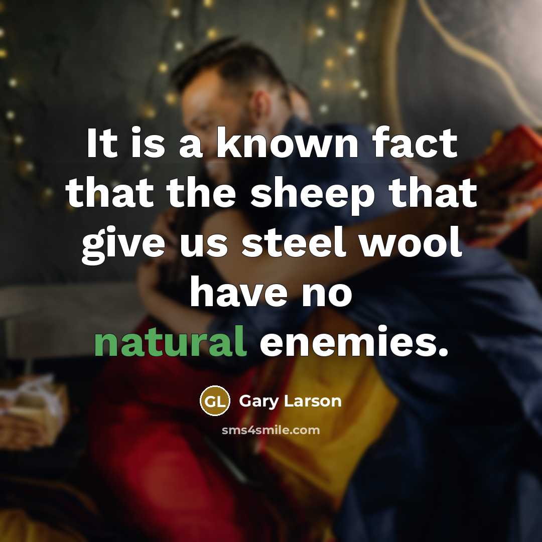 “It is a known fact that the sheep that give us steel wool have no natural enemies.” quote by Gary Larson