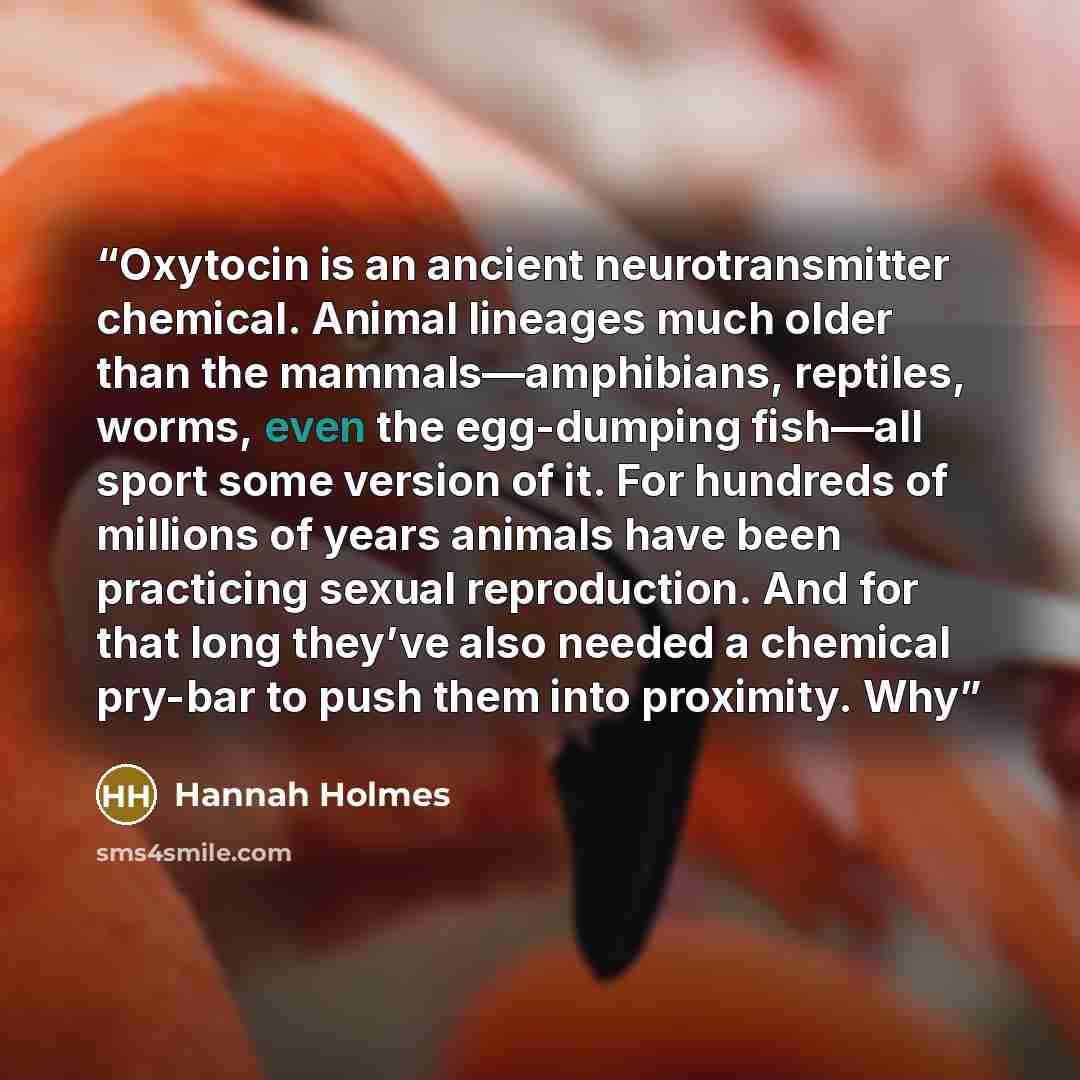 “Oxytocin is an ancient neurotransmitter chemical. Animal lineages much older than the mammals—amphibians, reptiles, worms, even the egg-dumping fish—all sport some version of it. For hundreds of millions of years animals have been practicing sexual reproduction. And for that long they’ve also…” quote by Hannah Holmes