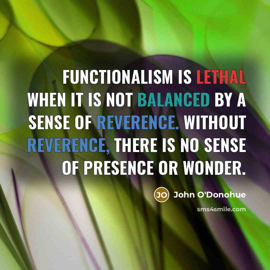 “Functionalism is lethal when it is not balanced by a sense of reverence. Without reverence, there is no sense of presence or wonder.” quote by John O'Donohue