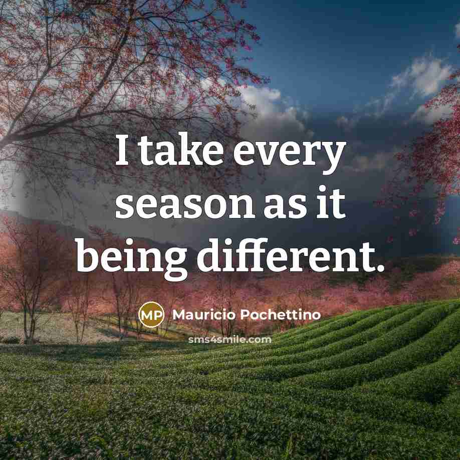 “I take every season as it being different.” quote by Mauricio Pochettino