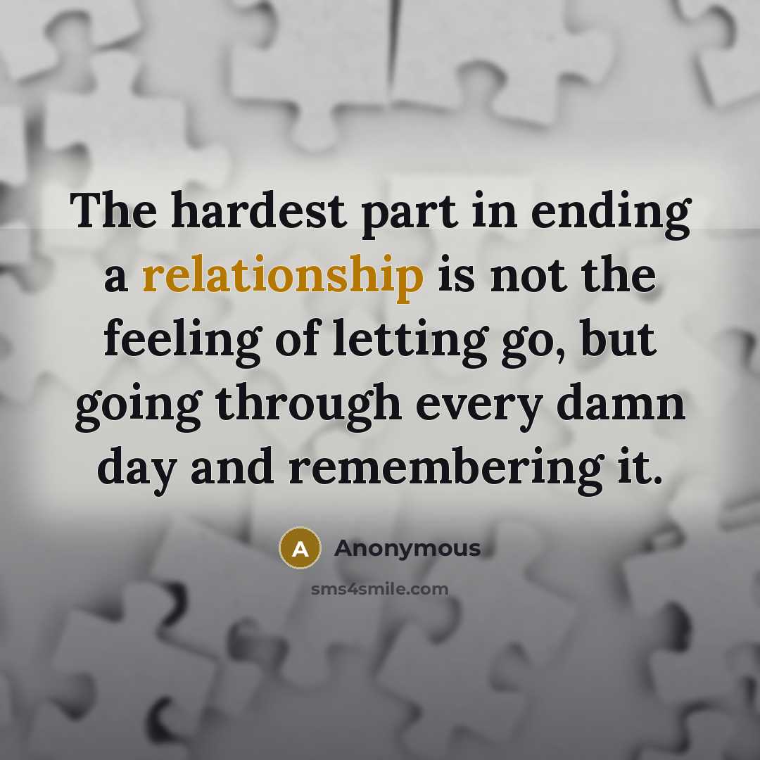 “The hardest part in ending a relationship is not the feeling of letting go, but going through every damn day and remembering it.” quote by Anonymous