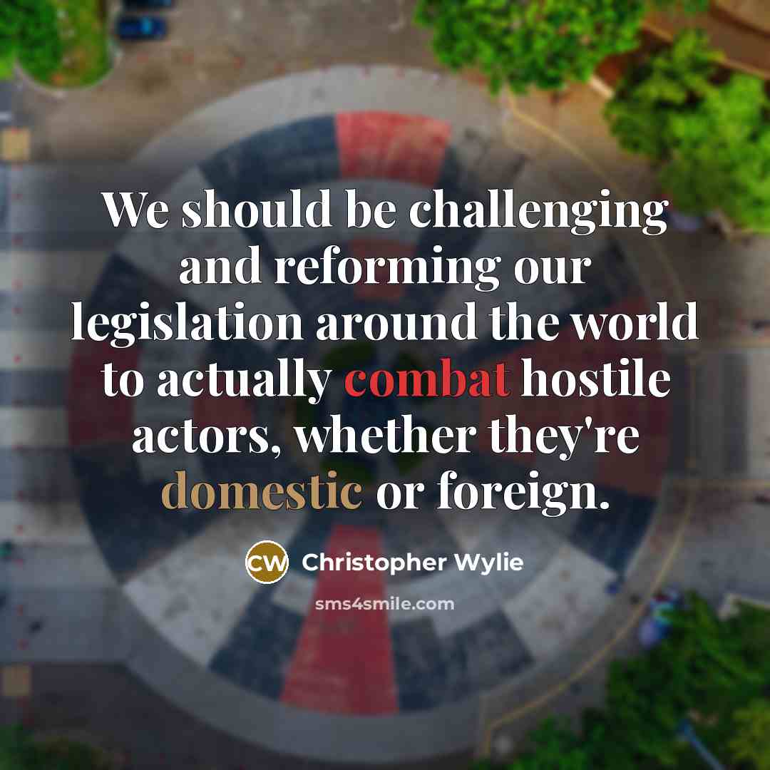 “We should be challenging and reforming our legislation around the world to actually combat hostile actors, whether they're domestic or foreign.” quote by Christopher Wylie