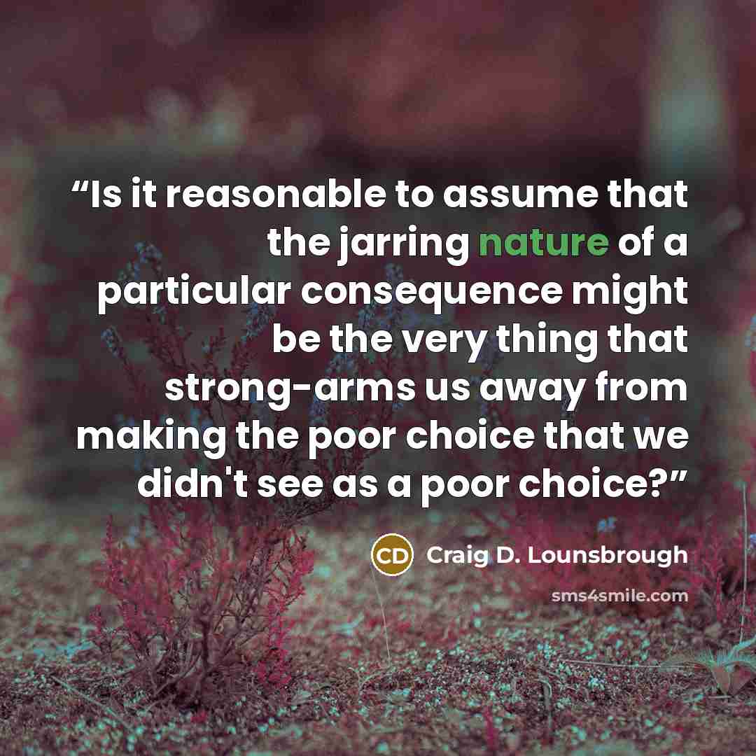 “Is it reasonable to assume that the jarring nature of a particular consequence might be the very thing that strong-arms us away from making the poor choice that we didn't see as a poor choice?” quote by Craig D. Lounsbrough
